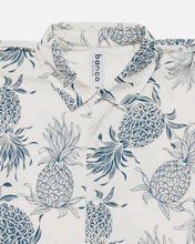画像をギャラリービューアに読み込む, Pineapple Big Shirts